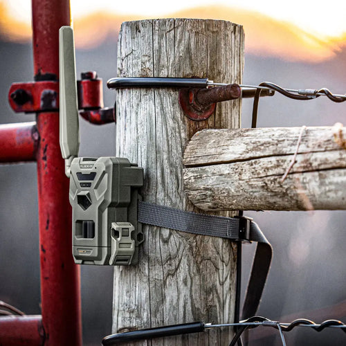 Spypoint FLEX-M Twin-pack